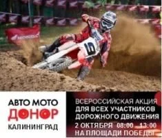 2 октября - Всероссийская донорская акция "АвтоМотоДонор" 2 октября - Всероссийская донорская акция "АвтоМотоДонор"